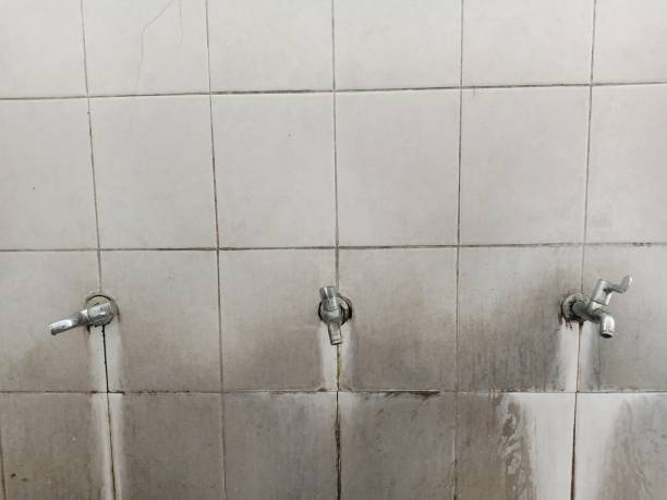 Best Water damage restoration specialists  in Ironde, AL