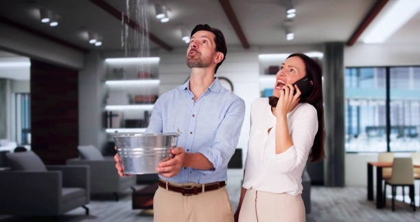 Best Local water damage restoration  in Ironde, AL